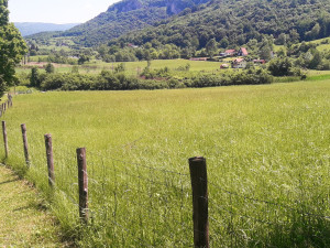 Zemljište Bihac Dobrenica