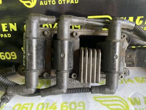 Bombina bobina Audi A4 B6 (fotografija 3)