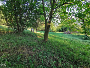 Kuća i zemljište, Blagovac/Vogošća photo 3