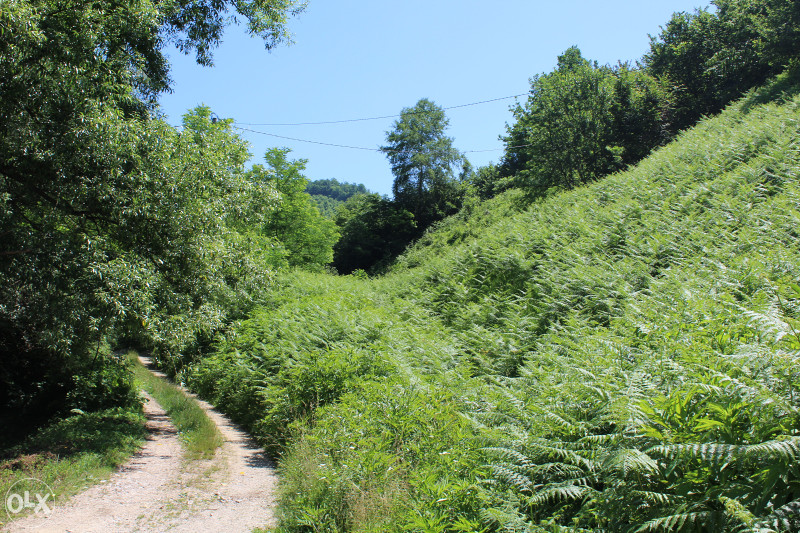 POVOLJNO - ZEMLJIŠTE U BIOČA (ILIJAŠ) 7000m2