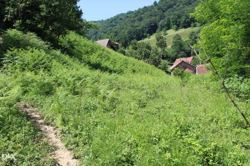 POVOLJNO - ZEMLJIŠTE U BIOČA (ILIJAŠ) 7000m2