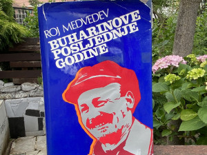 Buharinove posljednje godine - Roj Medvedev