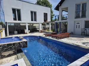 Vikendica bazen Drina Amajlije Darkan residence proslave