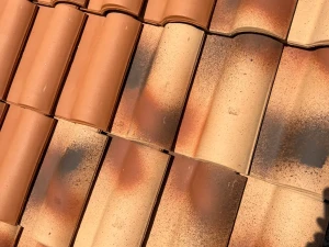 Ehodach/exTondach TOGNANA Portoguese (oker antik) crijep za krov