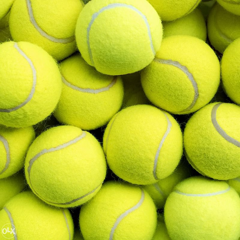 Loptice za tenis - 10 komada
