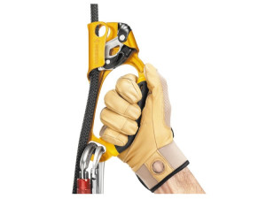 Asender ASCENSION  Petzl