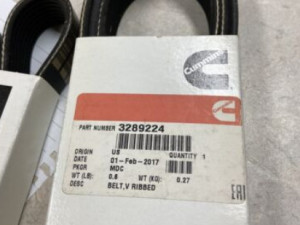 Cummins Remen motora 3289224 8PK1740