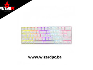 Tastatura WHITE SHARK Shinobi Blue-Switch White (14935)