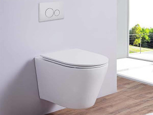 WC šolja konzolna bijela Mat Moon Eckle