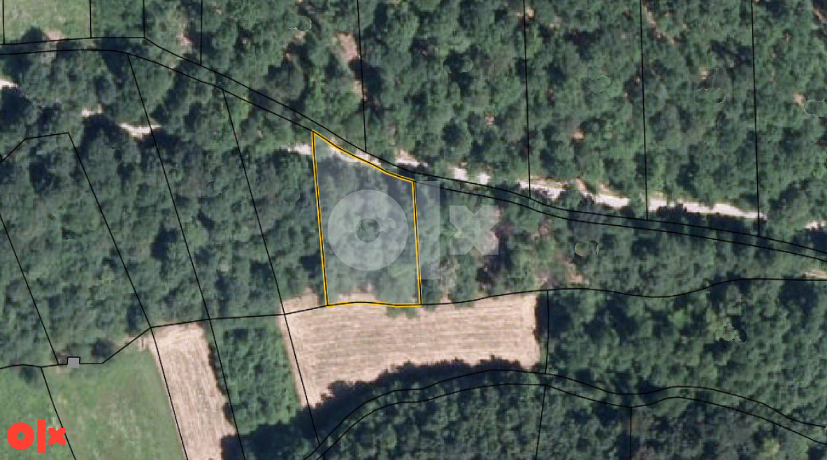Zemljište sa šumom Dragočaj 2580m2