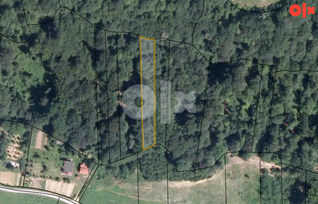 Zemljište sa šumom Dragočaj 2580m2 2