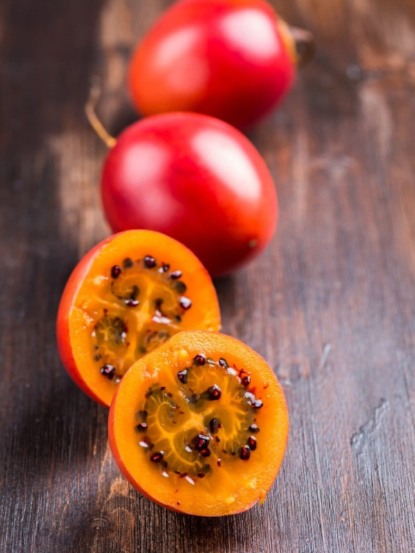 Paradajz drvo (tamarillo),sadnice