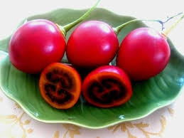 Paradajz drvo (tamarillo),sadnice