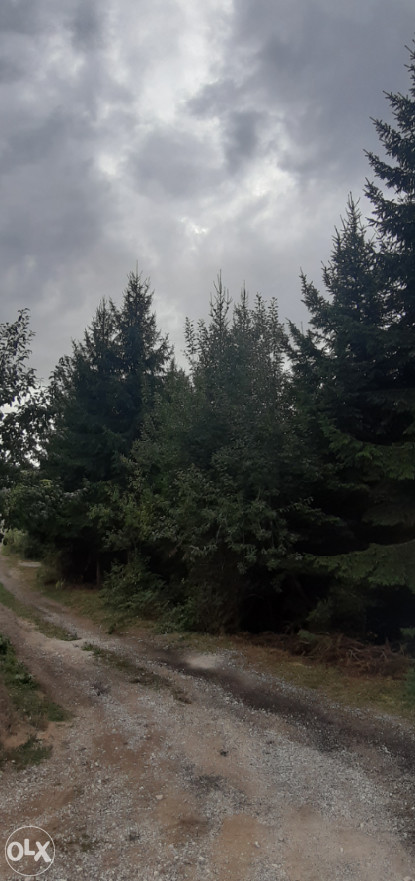 Zemljište sa šumom u naselju Bojnik, Općina Novi Grad Sarajevo 10