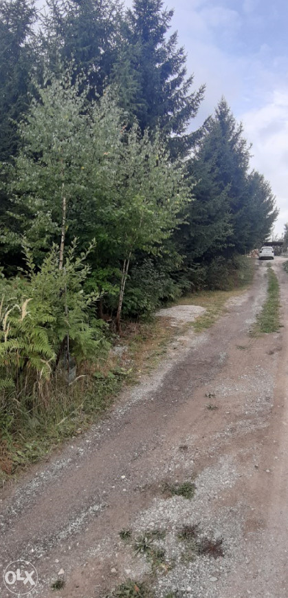 Zemljište sa šumom u naselju Bojnik, Općina Novi Grad Sarajevo 4