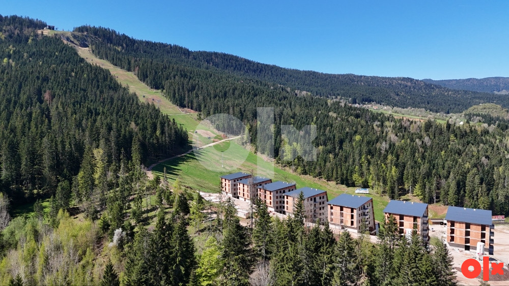 Ravna Planina Vazdusna banja - apartmani 23