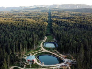 Ravna Planina Vazdusna banja - apartmani photo 5