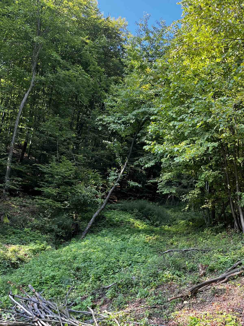 Plac sa objektom Dokanj Tuzla 14.500m2 9