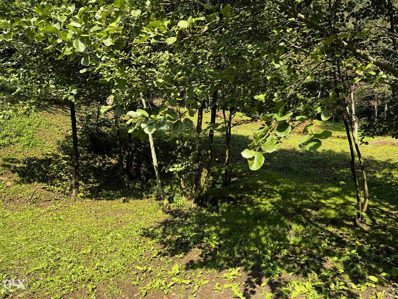 Plac sa objektom Dokanj Tuzla 14.500m2 18