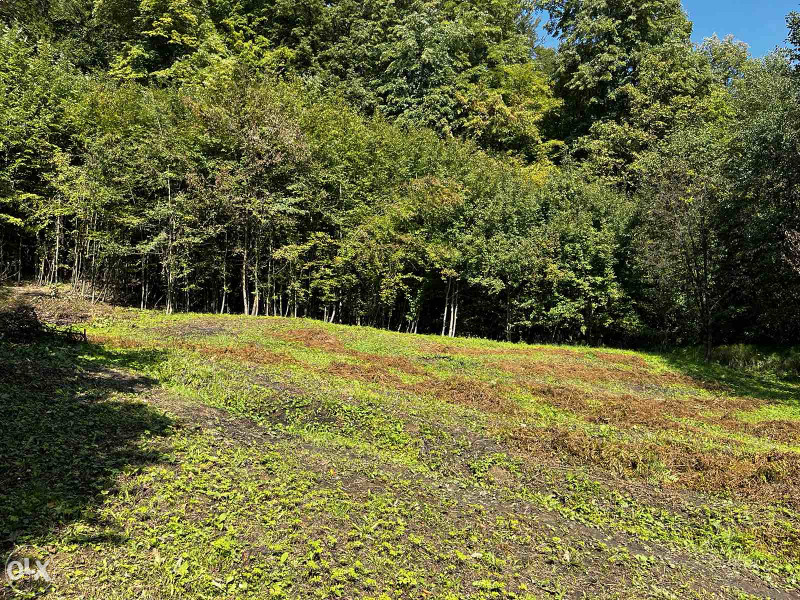 Plac sa objektom Dokanj Tuzla 14.500m2 8