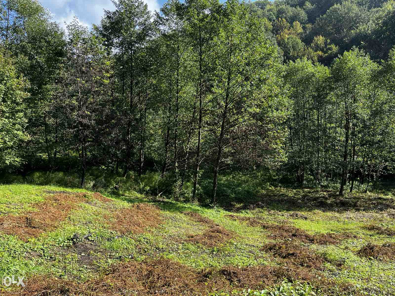 Plac sa objektom Dokanj Tuzla 14.500m2 17
