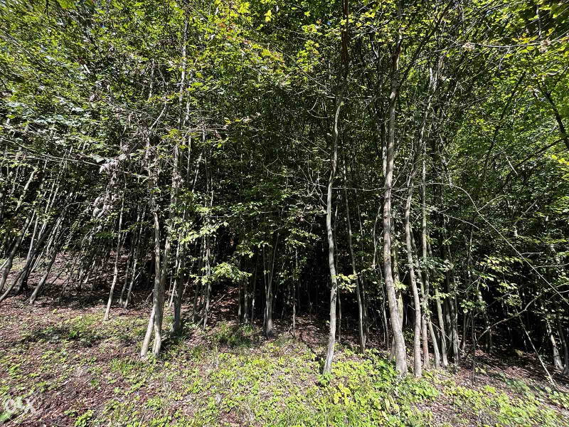 Plac sa objektom Dokanj Tuzla 14.500m2 14