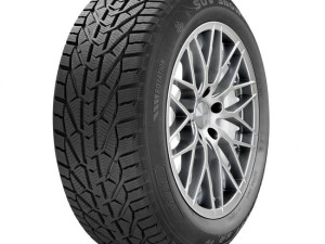 215 65 16 2156516 215 65 R16 Zimske gume Riken