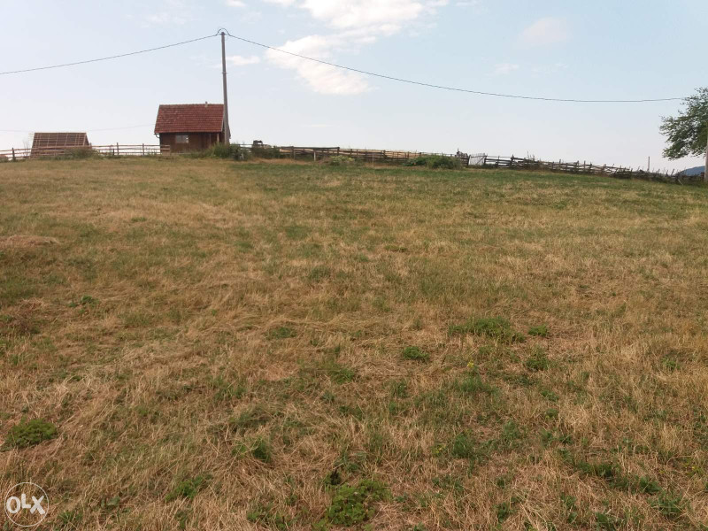 Zemljište Nišići 15 dunuma 5
