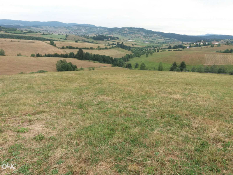 Zemljište Nišići 15 dunuma 3