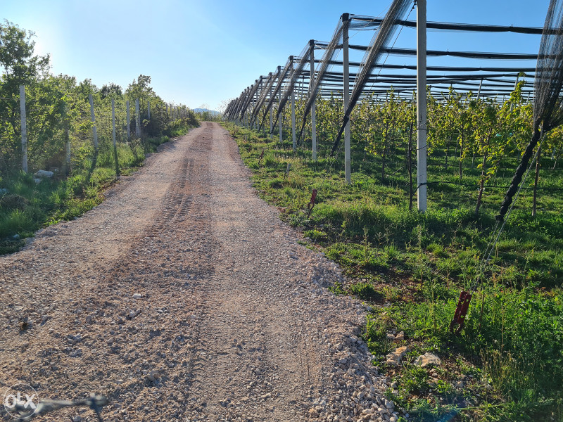 Plantaža, zemljište, voćnjak, gradjevinsko, Lokve, Čapljina 8