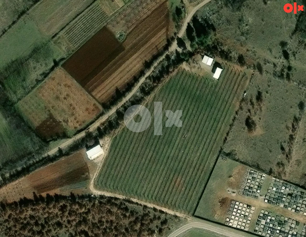 Plantaža, zemljište, voćnjak, gradjevinsko, Lokve, Čapljina 2