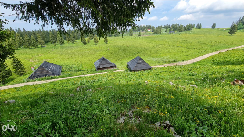 ZEMLJA,PARCELA,PARCELE PRODAJEM ZEMLJISTE 500 m2-VLASIC-ELEZOVICE 6