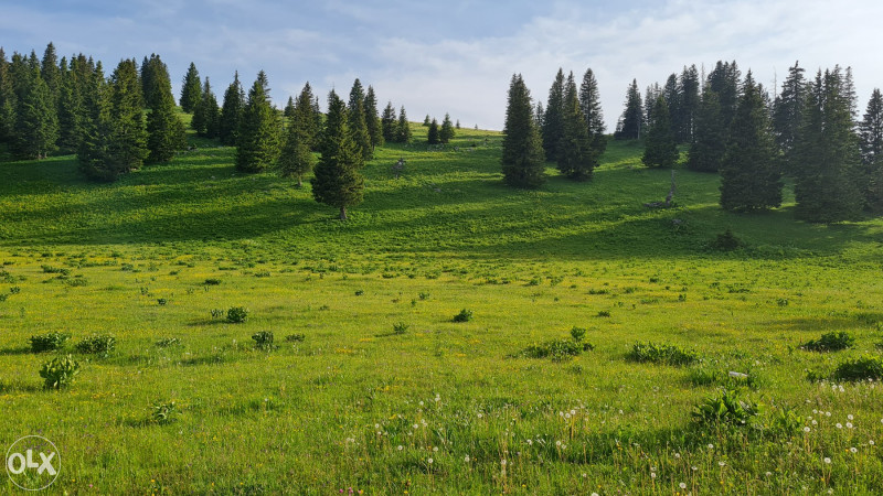 ZEMLJA,PARCELA,PARCELE PRODAJEM ZEMLJISTE 500 m2-VLASIC-ELEZOVICE 18