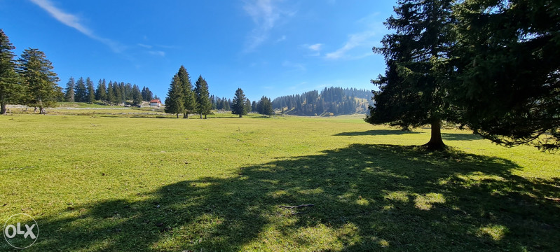 ZEMLJA,PARCELA,PARCELE PRODAJEM ZEMLJISTE 500 m2-VLASIC-ELEZOVICE 14