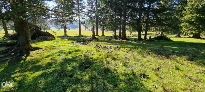 ZEMLJA,PARCELA,PARCELE PRODAJEM ZEMLJISTE 500 m2-VLASIC-ELEZOVICE 17