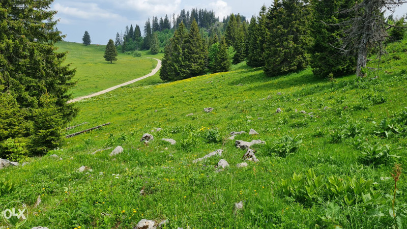 ZEMLJA,PARCELA,PARCELE PRODAJEM ZEMLJISTE 500 m2-VLASIC-ELEZOVICE 12