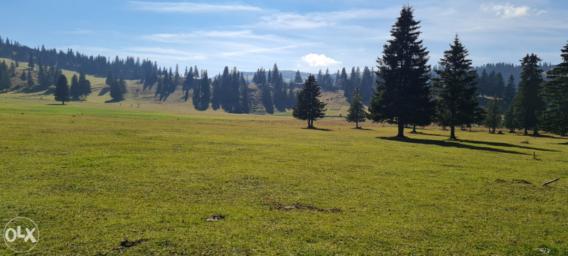 ZEMLJA,PARCELA,PARCELE PRODAJEM ZEMLJISTE 500 m2-VLASIC-ELEZOVICE 16