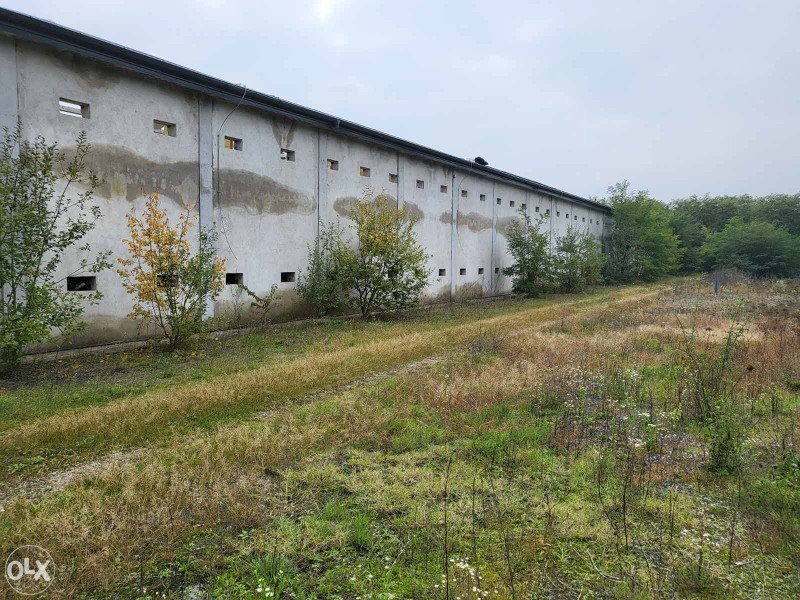 Farma za uzgoj pilića - Prijedor, Verići 4