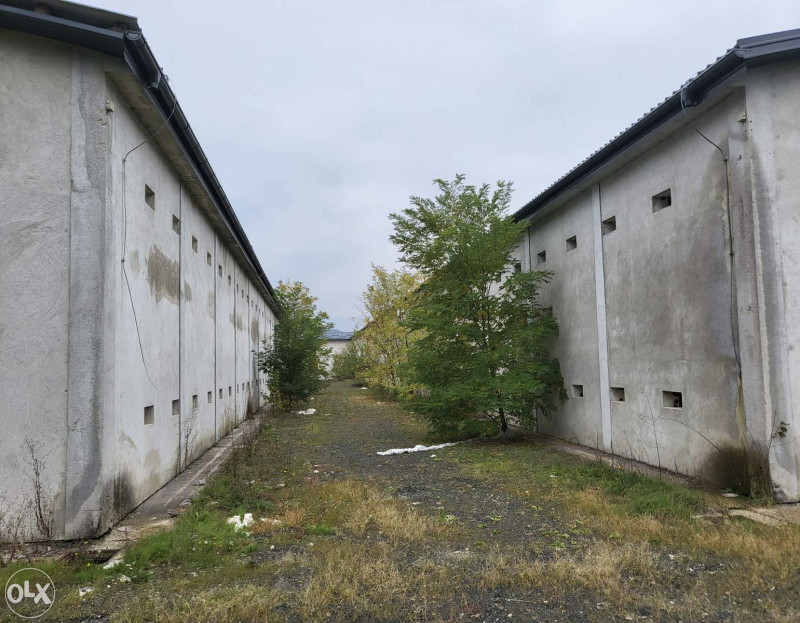 Farma za uzgoj pilića - Prijedor, Verići