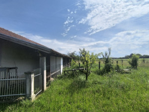 KUĆA U ŠUŠNJARIMA BLIZU VELIKOG BLAŠKOG photo 3