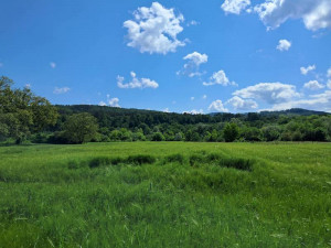 Placevi u Trapistima, Banja Luka