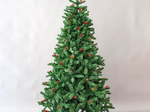 JELKA COLUMBIA FIR, 210CM