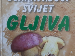 Očaravajući svijet gljiva Matija Josipović