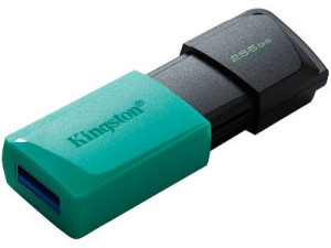USB stik Kingston 256GB DataTraveler Exodia M