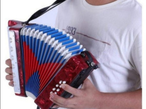 Djecija harmonika 24x25x12cm CRNA 066 219 686