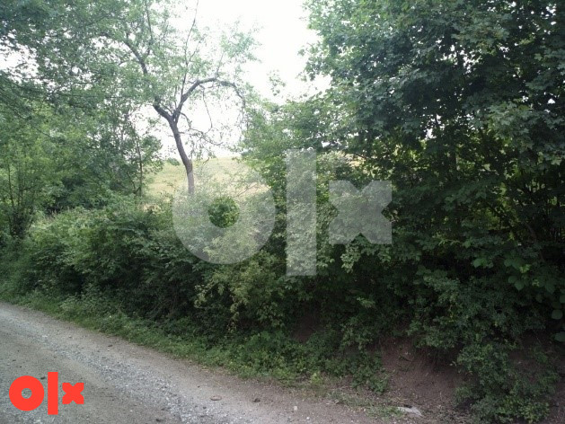 Zemljište Olovo, Lišci, AGNE-2661 3