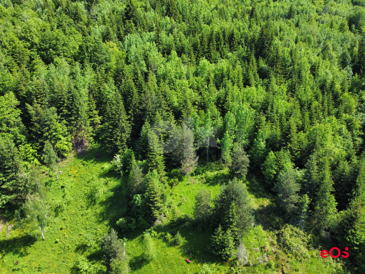 EOS / Zemljište Sa Šumom / Pale / 34.890 m2