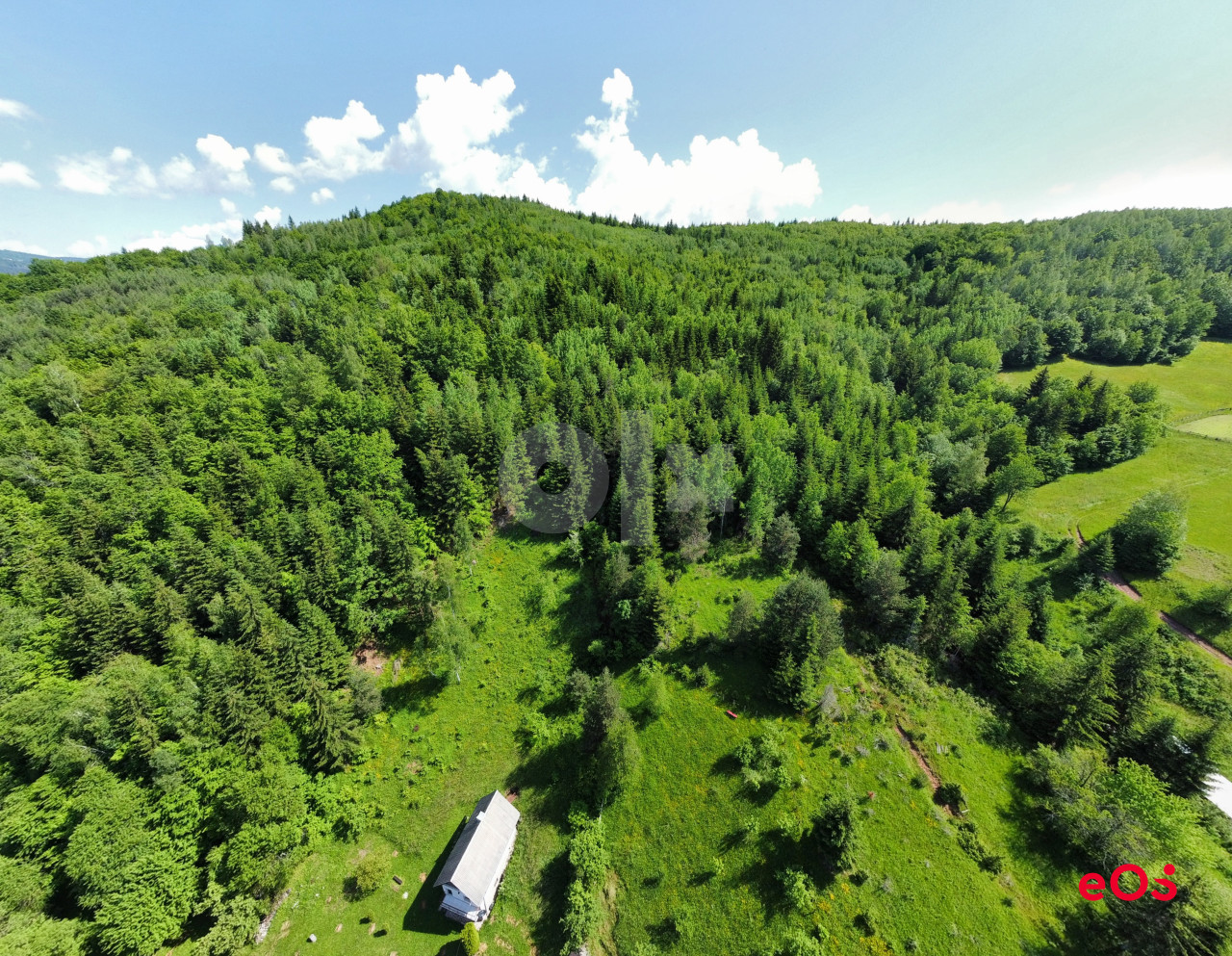 EOS / Zemljište Sa Šumom / Pale / 34.890 m2 2