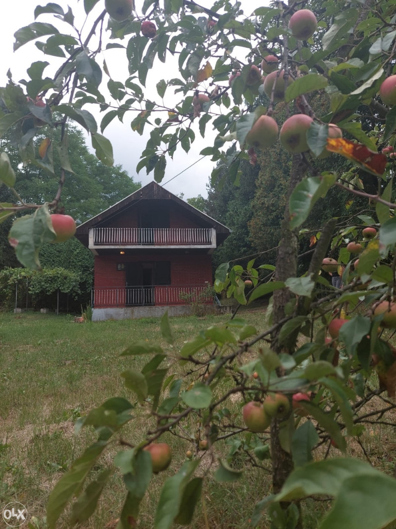 Kuća Žepče, prodajem kuću sa okućnicom i voćnjakom
