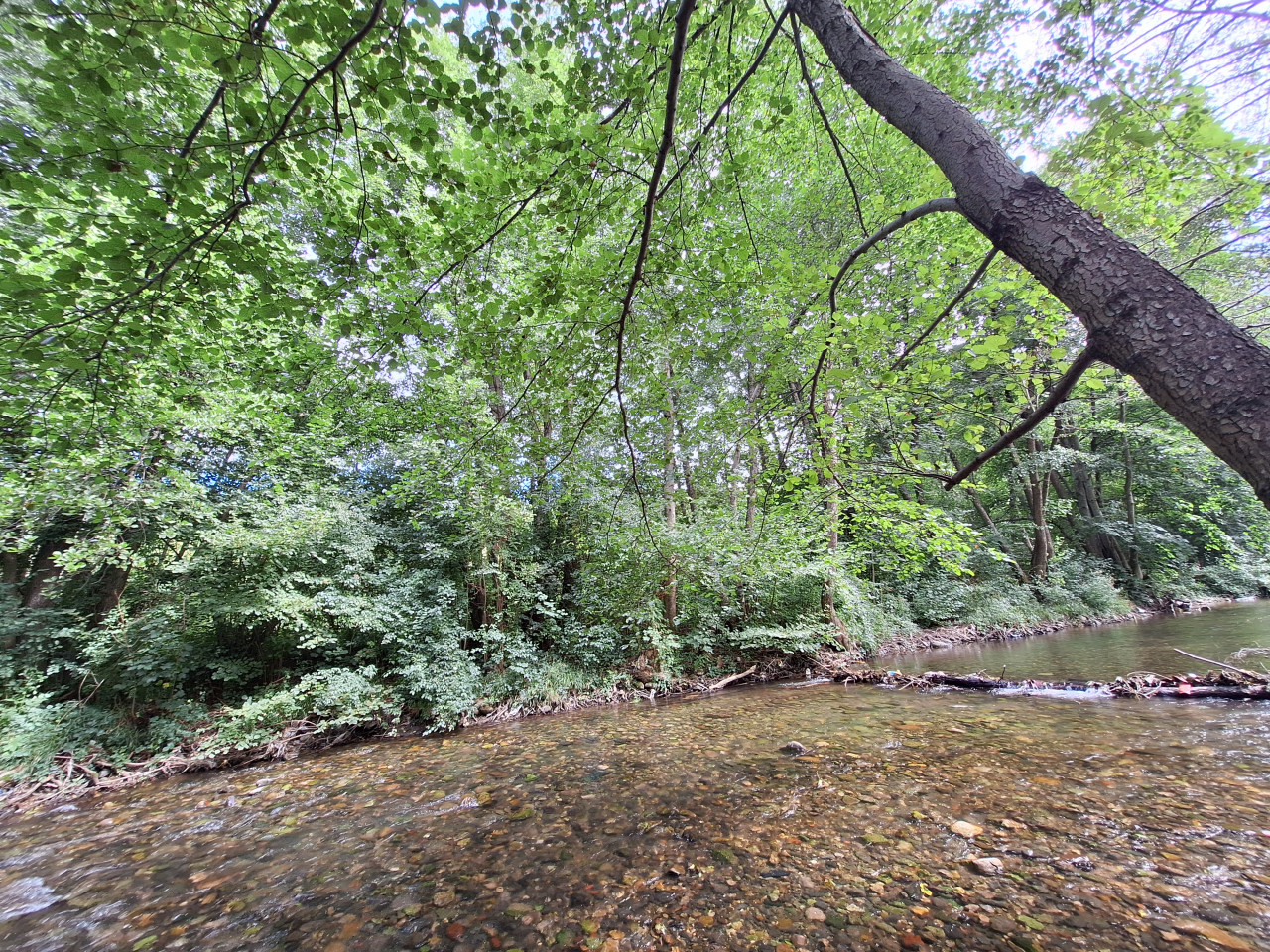 EOS / Zemljište / Gornji Vakuf / Dobrošin / 4.930 m2 5